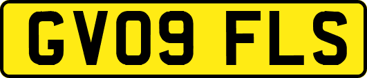 GV09FLS