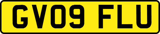 GV09FLU