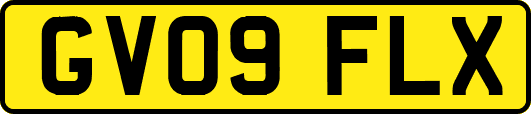 GV09FLX