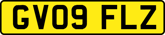 GV09FLZ