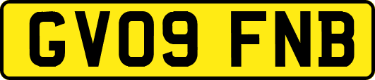 GV09FNB