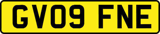 GV09FNE