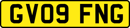 GV09FNG