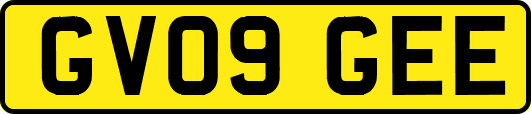 GV09GEE