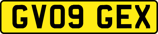 GV09GEX