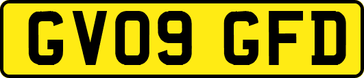 GV09GFD