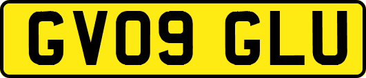 GV09GLU