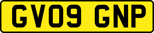 GV09GNP