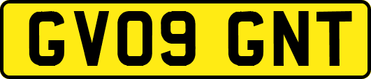 GV09GNT