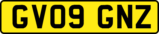 GV09GNZ