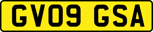 GV09GSA
