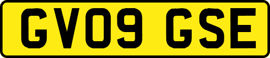 GV09GSE