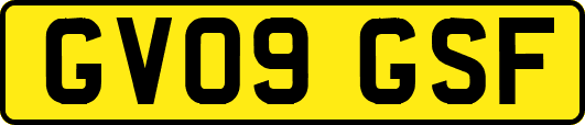 GV09GSF