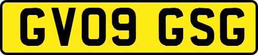 GV09GSG