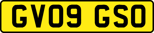 GV09GSO