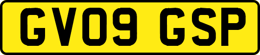 GV09GSP