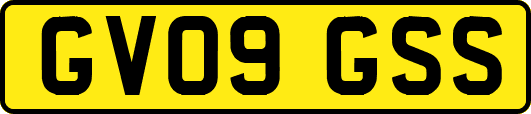 GV09GSS