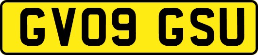 GV09GSU