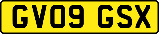 GV09GSX