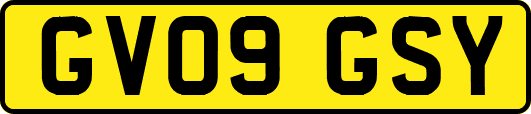 GV09GSY