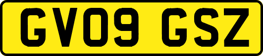 GV09GSZ
