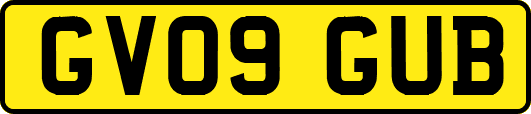 GV09GUB