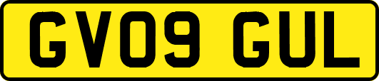 GV09GUL