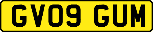 GV09GUM