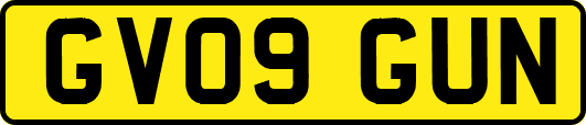 GV09GUN