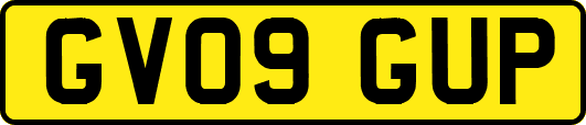 GV09GUP