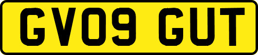 GV09GUT