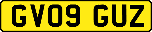 GV09GUZ