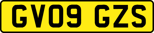 GV09GZS