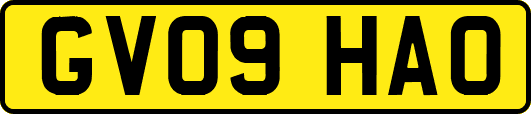 GV09HAO
