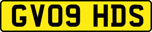 GV09HDS
