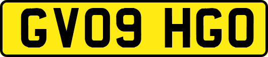 GV09HGO