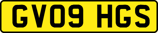 GV09HGS