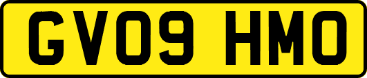 GV09HMO