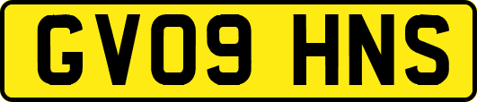 GV09HNS