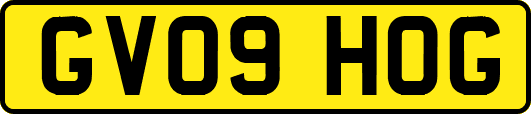 GV09HOG