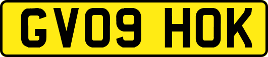 GV09HOK
