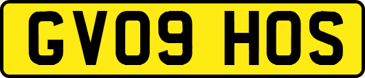 GV09HOS