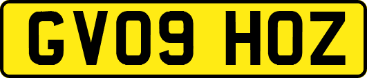 GV09HOZ