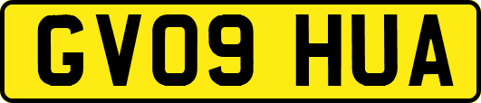 GV09HUA