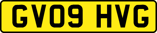 GV09HVG