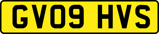 GV09HVS