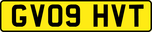 GV09HVT