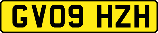 GV09HZH