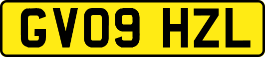 GV09HZL