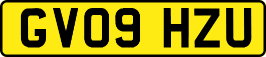 GV09HZU